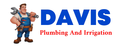 Trusted plumber in SARONA